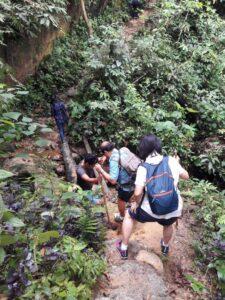 Trekking