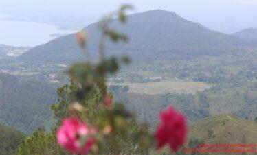 sarana danau toba menyambut F1 Powerboat