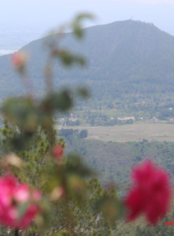 sarana danau toba menyambut F1 Powerboat