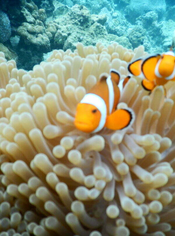 PAKET TOUR BANDA ACEH – SABANG 4D3N