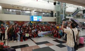 mice medan